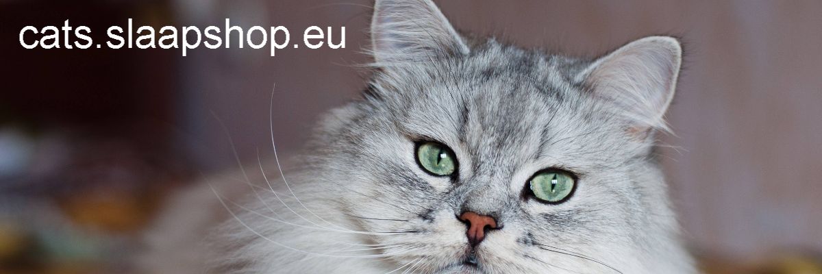 cats.slaapshop.eu